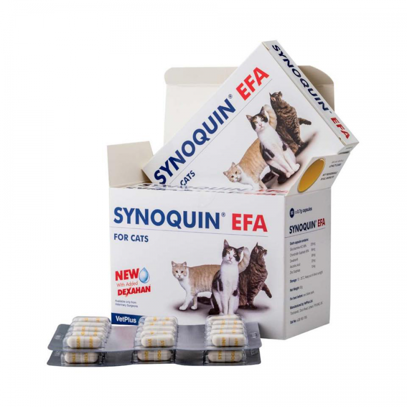 Synoquin Cat 貓隻關節補充劑 (90粒膠囊裝) Synoquin Cat 貓隻關節補充劑 (90粒膠囊裝)